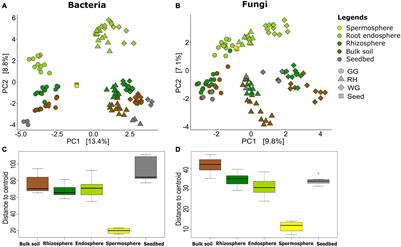 Domestication Impacts the Wheat-Associated Microbiota and the Rhizosphere Colonization by Seed- and Soil-Originated Microbiomes, Across Different Fields